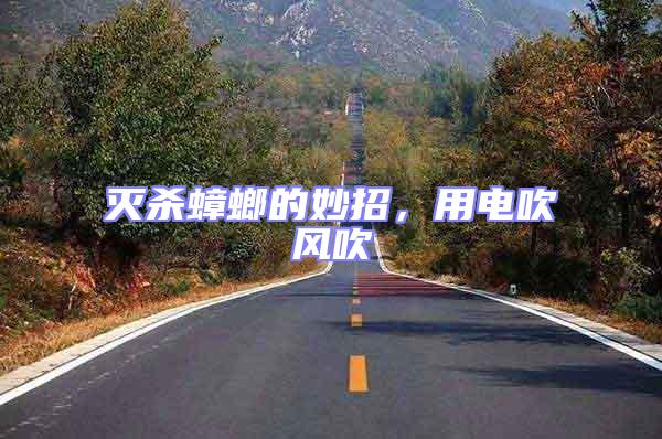 滅殺蟑螂的妙招，用電吹風(fēng)吹