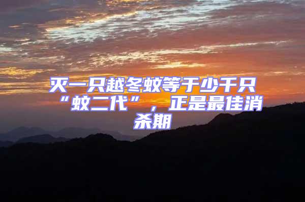 滅一只越冬蚊等于少千只“蚊二代”，正是最佳消殺期