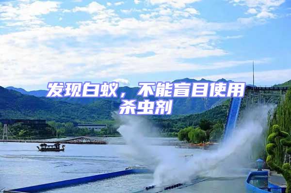 發(fā)現(xiàn)白蟻，不能盲目使用殺蟲劑