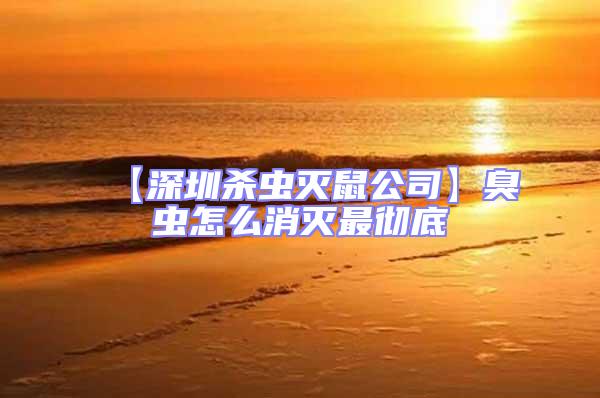 【深圳殺蟲(chóng)滅鼠公司】臭蟲(chóng)怎么消滅最徹底