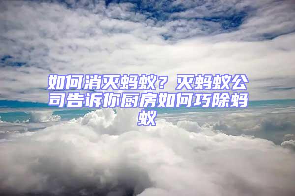 如何消滅螞蟻？滅螞蟻公司告訴你廚房如何巧除螞蟻