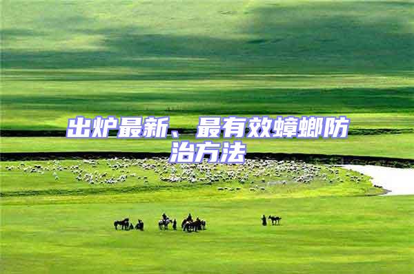 出爐最新、最有效蟑螂防治方法