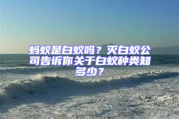 螞蟻是白蟻嗎？滅白蟻公司告訴你關(guān)于白蟻種類知多少？