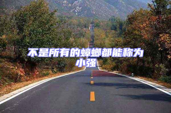 不是所有的蟑螂都能稱為小強