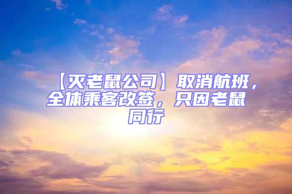 【滅老鼠公司】取消航班，全體乘客改簽，只因老鼠同行