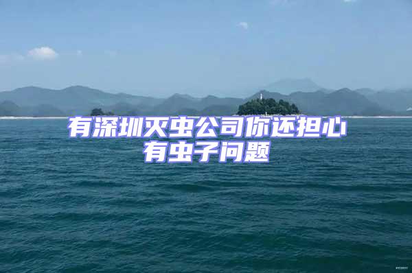 有深圳滅蟲公司你還擔(dān)心有蟲子問題
