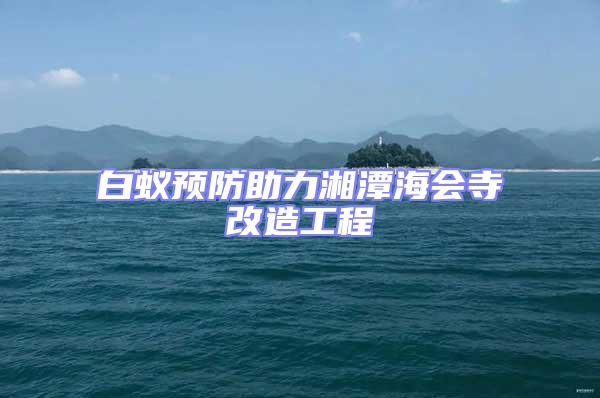 白蟻預(yù)防助力湘潭海會(huì)寺改造工程