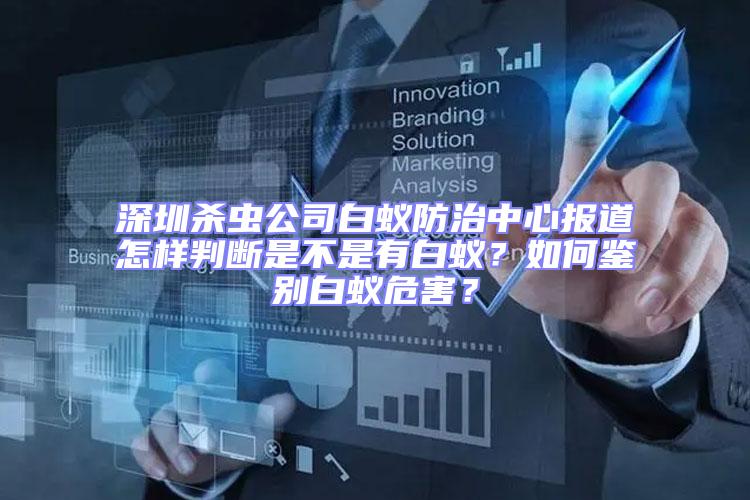 深圳殺蟲公司白蟻防治中心報道怎樣判斷是不是有白蟻？如何鑒別白蟻危害？