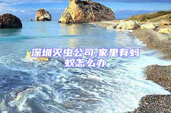 深圳滅蟲公司,家里有螞蟻怎么辦