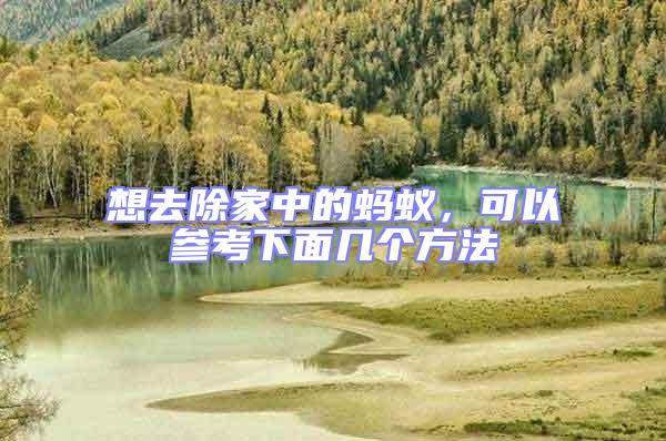 想去除家中的螞蟻，可以參考下面幾個(gè)方法