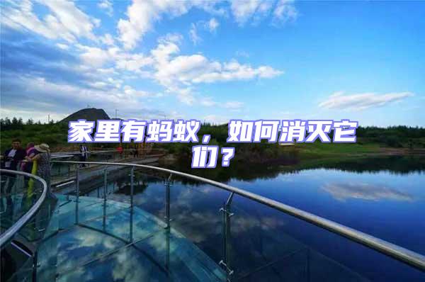 家里有螞蟻，如何消滅它們？