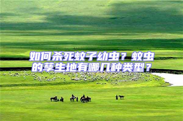 如何殺死蚊子幼蟲(chóng)？蚊蟲(chóng)的孳生地有哪幾種類型？