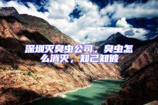 深圳滅臭蟲公司，臭蟲怎么消滅，知己知彼