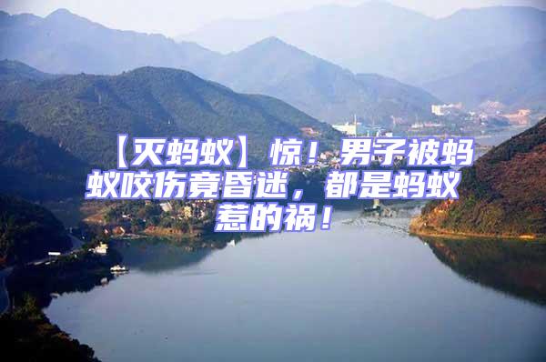 【滅螞蟻】驚！男子被螞蟻咬傷竟昏迷，都是螞蟻惹的禍！