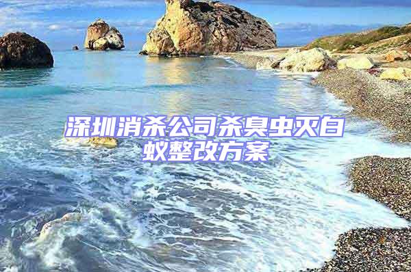 深圳消殺公司殺臭蟲滅白蟻整改方案