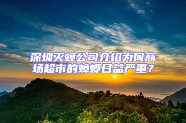 深圳滅蟑公司介紹為何商場超市的蟑螂日益嚴重？