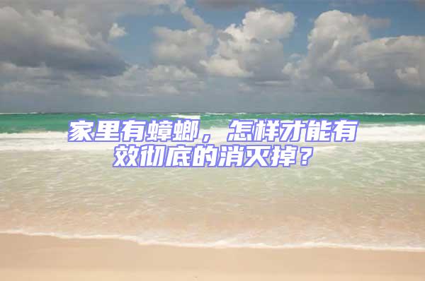 家里有蟑螂，怎樣才能有效徹底的消滅掉？