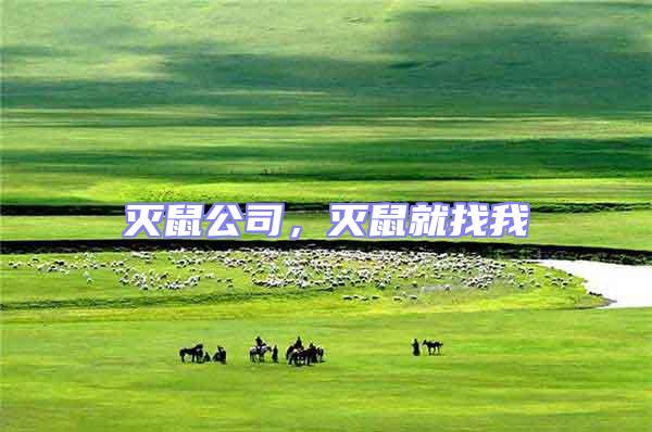 滅鼠公司，滅鼠就找我