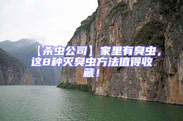 【殺蟲(chóng)公司】家里有臭蟲(chóng)，這8種滅臭蟲(chóng)方法值得收藏！