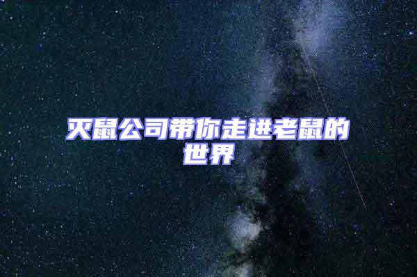 滅鼠公司帶你走進老鼠的世界