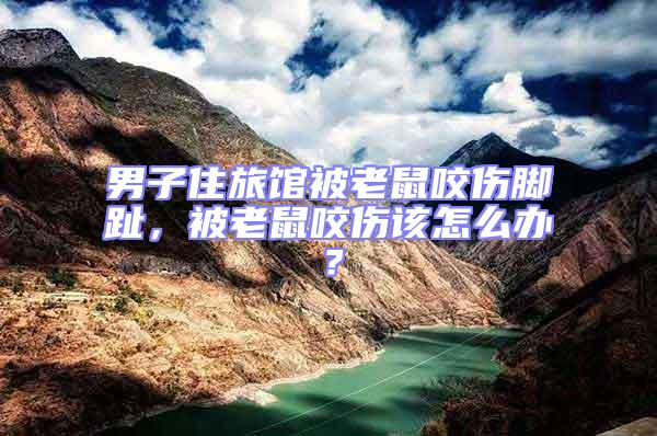 男子住旅館被老鼠咬傷腳趾，被老鼠咬傷該怎么辦？