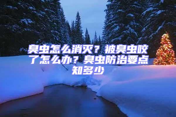 臭蟲怎么消滅？被臭蟲咬了怎么辦？臭蟲防治要點知多少