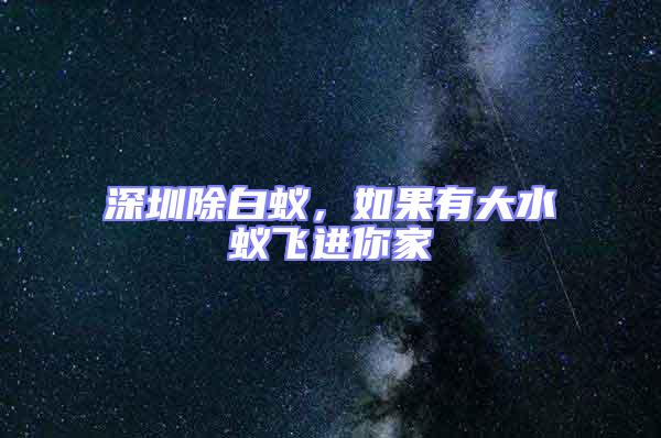 深圳除白蟻，如果有大水蟻飛進(jìn)你家