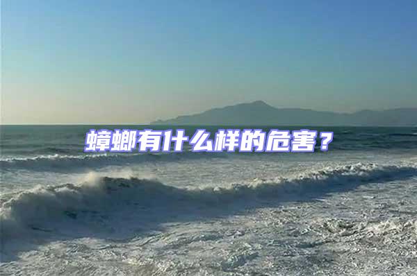 蟑螂有什么樣的危害?