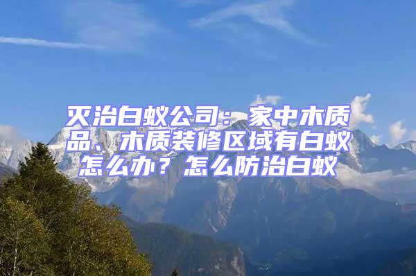 滅治白蟻公司：家中木質(zhì)品、木質(zhì)裝修區(qū)域有白蟻怎么辦？怎么防治白蟻