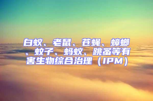 白蟻、老鼠、蒼蠅、蟑螂、蚊子、螞蟻、跳蚤等有害生物綜合治理（IPM）