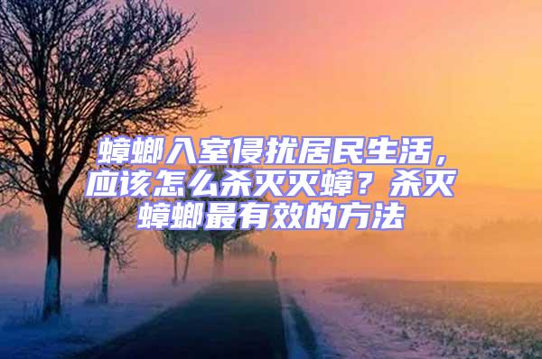 蟑螂入室侵擾居民生活，應(yīng)該怎么殺滅滅蟑？殺滅蟑螂最有效的方法
