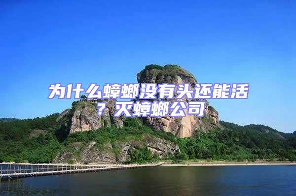 為什么蟑螂沒有頭還能活？滅蟑螂公司