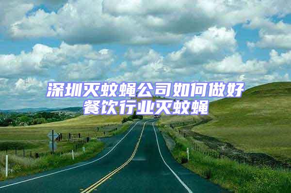 深圳滅蚊蠅公司如何做好餐飲行業(yè)滅蚊蠅