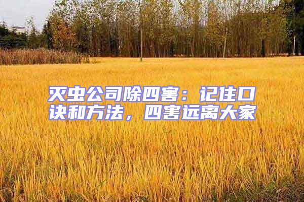 滅蟲公司除四害：記住口訣和方法，四害遠(yuǎn)離大家