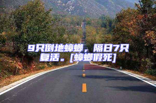 9只倒地蟑螂，隔日7只復(fù)活。[蟑螂假死]