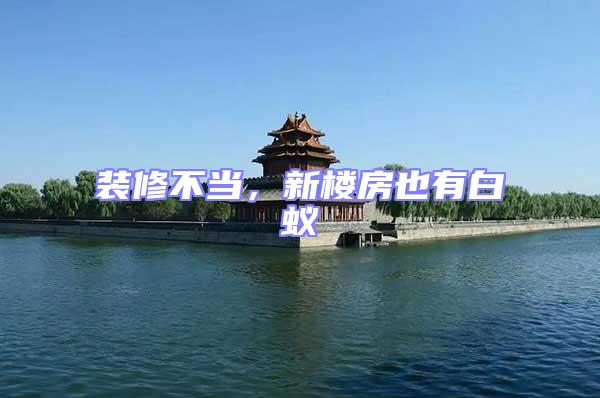 裝修不當，新樓房也有白蟻