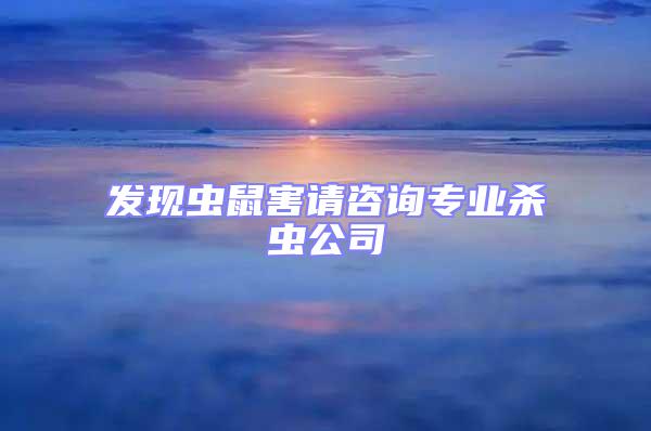 發(fā)現(xiàn)蟲鼠害請(qǐng)咨詢專業(yè)殺蟲公司