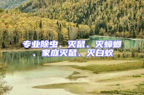 專業(yè)除蟲、滅鼠、滅蟑螂、家庭滅鼠、滅白蟻