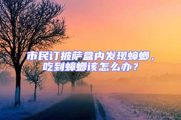 市民訂披薩盒內(nèi)發(fā)現(xiàn)蟑螂，吃到蟑螂該怎么辦？