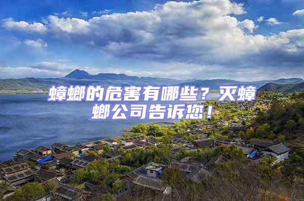 蟑螂的危害有哪些？滅蟑螂公司告訴您！