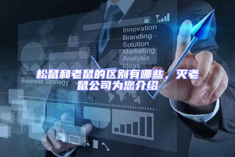 松鼠和老鼠的區(qū)別有哪些，滅老鼠公司為您介紹