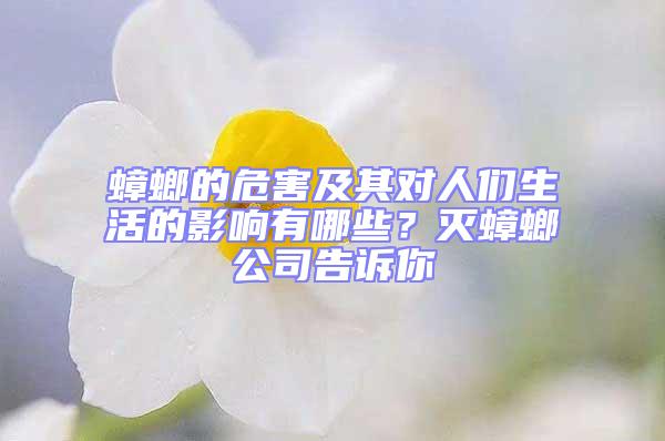 蟑螂的危害及其對(duì)人們生活的影響有哪些？滅蟑螂公司告訴你