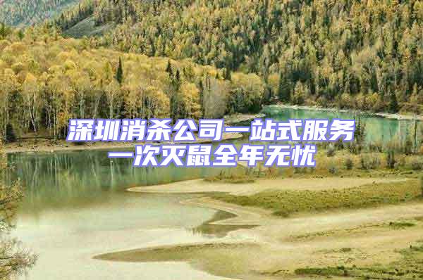 深圳消殺公司一站式服務(wù)一次滅鼠全年無憂