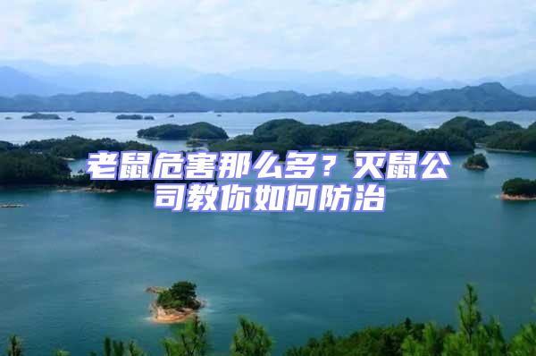 老鼠危害那么多？滅鼠公司教你如何防治