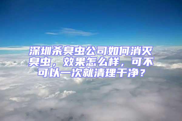 深圳殺臭蟲公司如何消滅臭蟲，效果怎么樣，可不可以一次就清理干凈？