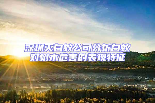 深圳滅白蟻公司分析白蟻對樹木危害的表現(xiàn)特征