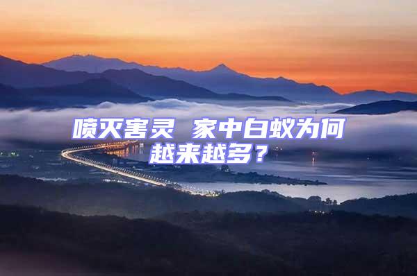 噴滅害靈 家中白蟻為何越來越多？