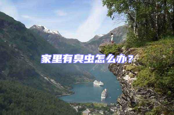 家里有臭蟲怎么辦？