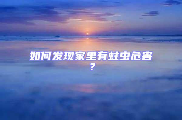 如何發(fā)現(xiàn)家里有蛀蟲危害？