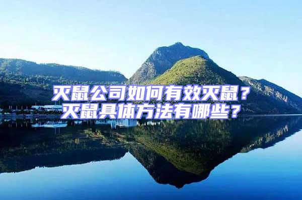 滅鼠公司如何有效滅鼠？滅鼠具體方法有哪些？